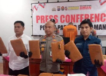 Penyelundupan 16 Kg Ganja Digagalkan, Pemuda Ditangkap dalam Taksi Online di Padang Pariaman