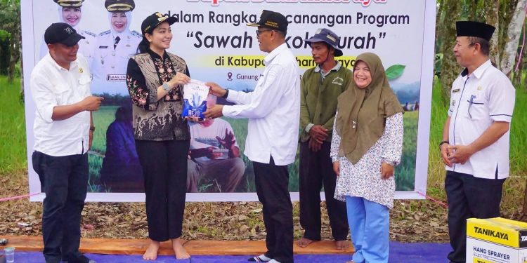 Petani Dapatkan Program Budidaya Terjangkau dan Pabrik Penggilingan Lokal dari Annisa