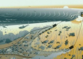 Nelayan Padang dan Padang Pariaman Mendukung Larangan Pukat Harimau untuk Kelestarian Laut