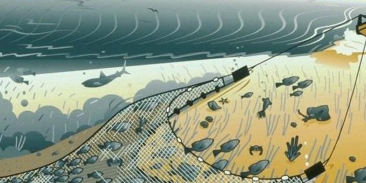Nelayan Padang dan Padang Pariaman Mendukung Larangan Pukat Harimau untuk Kelestarian Laut