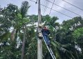 Jaga Keandalan Layanan Internet Melalui Pemeliharaan Jaringan di Pulau Palas