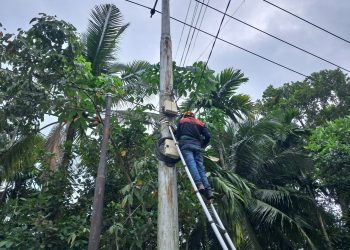 Jaga Keandalan Layanan Internet Melalui Pemeliharaan Jaringan di Pulau Palas