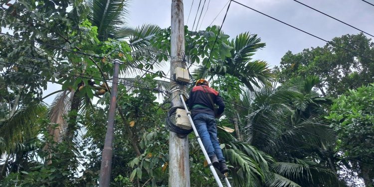 Jaga Keandalan Layanan Internet Melalui Pemeliharaan Jaringan di Pulau Palas
