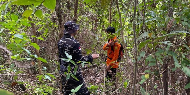 Tiga Warga Natuna Hilang di Hutan Saat Cari Gaharu, Tim SAR Diterjunkan