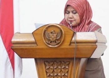 Ruas Jalan dan Penerangan Antar Desa di Sawahlunto Perlu Perbaikan