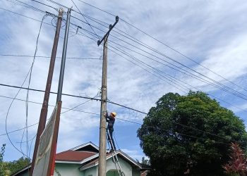 Jaringan Prima PLN Lakukan Pemeliharaan Preventif di Lipat Kain Singingi