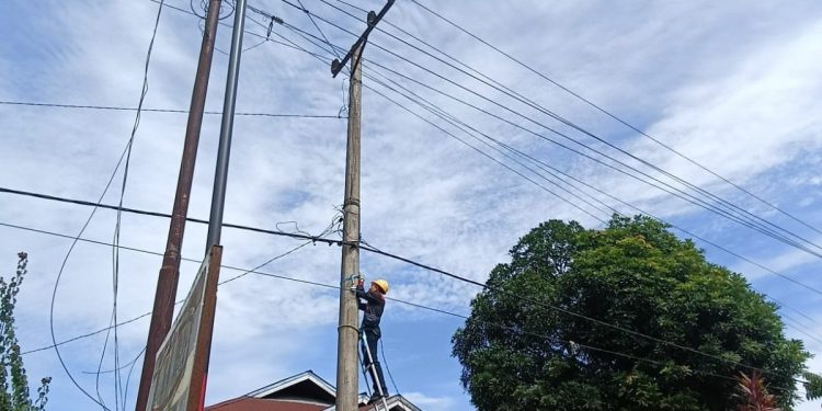 Jaringan Prima PLN Lakukan Pemeliharaan Preventif di Lipat Kain Singingi