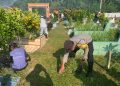 Gugur Gunung di TPU Pering Pererat Sinergi Polsek Bunguran Timur dengan Warga Lewat Aksi Nyata