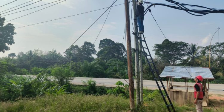 Keandalan Layanan Internet Melalui Pemeliharaan Rutin Jaringan Fiber Optik di Dharmasraya