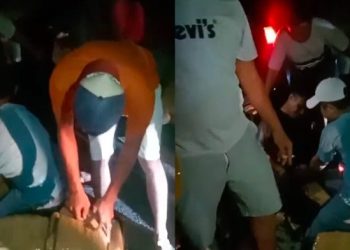 Pengedar Ganja Jaringan Antarprovinsi Ditangkap di Rao Pasaman dengan 21 Paket Diamankan