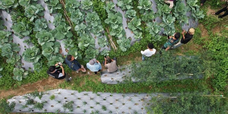 Prodi Biologi FMIPA dan Mahasiswa KKN Gelar Workshop SDGs Kehidupan di Tanah Datar