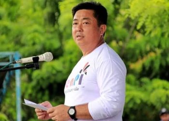 Petani Sula Mengeluh tentang Hama Babi Menurut Ketua HKTI