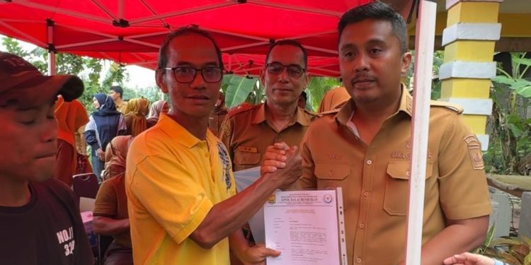 Bantuan Indukan dan Pakan Lele untuk Pembudidaya di Pariaman oleh Pemprov Sumbar