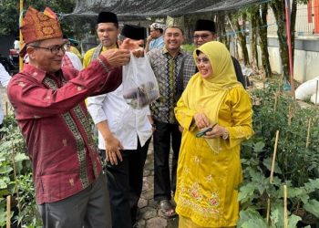 Ketahanan Pangan: Rektor UNP Melakukan Panen Palawijaya