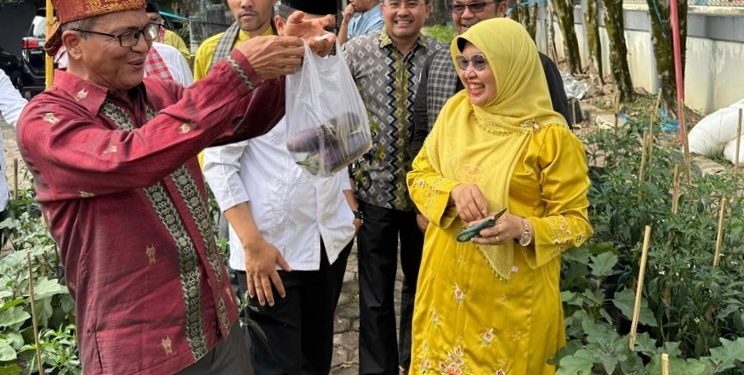 Ketahanan Pangan: Rektor UNP Melakukan Panen Palawijaya