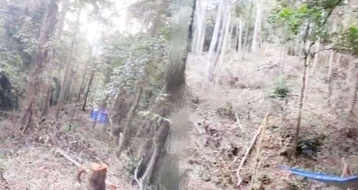 Lahan Hutan di Batang Anai Diduga Digarap Jadi Perkebunan Kopi Pelanggaran Aturan?