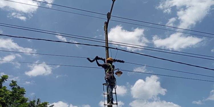 Upaya Menjaga Keandalan Jaringan Melalui Pemeliharaan Infrastruktur Telekomunikasi Sungai Apit