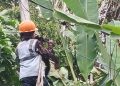 Pemeliharaan Rutin Jaringan Fiber Optik untuk Internet Lancar di Kabupaten Agam