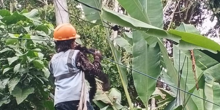 Pemeliharaan Rutin Jaringan Fiber Optik untuk Internet Lancar di Kabupaten Agam