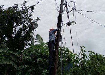 Pastikan Performa Jaringan Optimal, Pemeliharaan Fiber Optic di Kawasan Maninjau