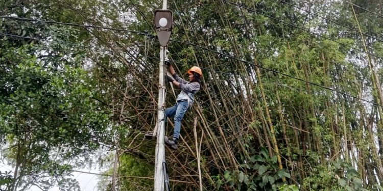 Jaga Kualitas dan Konsistensi Layanan Internet melalui Pemeliharaan Jaringan Fiber Optic di Tanjung Sani
