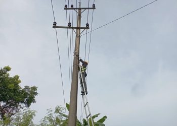 Pemeliharaan Fiber Optik di Wilayah Rumbai untuk Keandalan Telekomunikasi