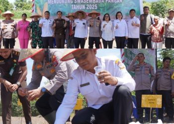 Polres Toba Tanam Jagung Serentak pada Kuartal IV Dukung Swasembada Pangan Nasional
