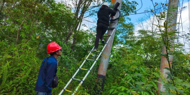Tingkatkan Kualitas Koneksi Internet, Pemeliharaan Jaringan Fiber Optik di Kabupaten Solok