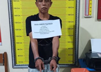 Pengedar Ganja di Lintau Buo Ditangkap Satresnarkoba Tanah Datar