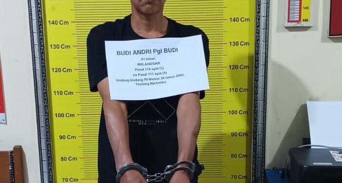 Pengedar Ganja di Lintau Buo Ditangkap Satresnarkoba Tanah Datar