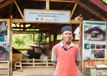 Reforma Agraria Mempermudah Warga Nunuk Baru untuk Usaha Ternak Domba