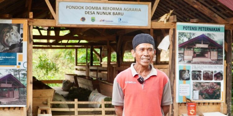 Reforma Agraria Mempermudah Warga Nunuk Baru untuk Usaha Ternak Domba