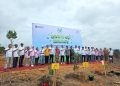 Peringati Hari Penanaman Pohon Nasional, Dukung Upaya Penghijauan di Kampar oleh PLN UID Riau