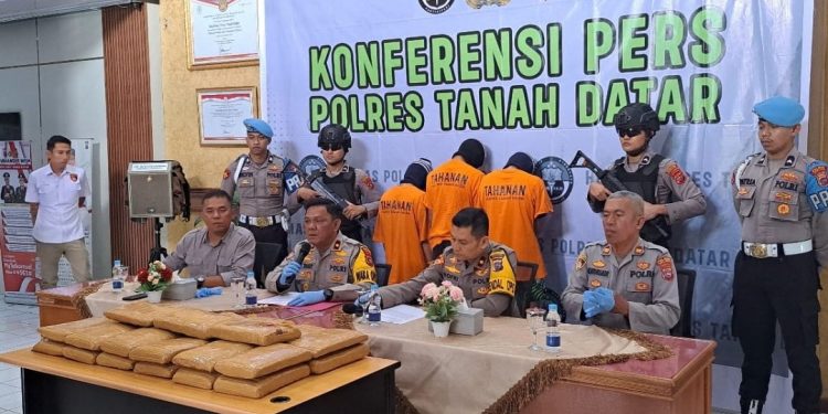 Polres Tanah Datar Tangkap Tiga Kurir Ganja dan Sita 27 Paket Besar Siap Edar