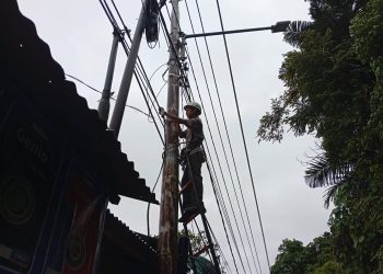 Tingkatkan Keandalan Jaringan Telekomunikasi dengan Pemeliharaan Jalur Fiber Optik Padang Painan Teluk Bayur
