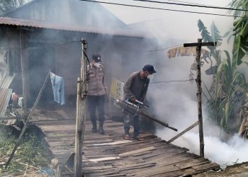 Antisipasi Penyakit Malaria Pasca Banjir, Fogging Di Wilayah Pemukiman Terdampak