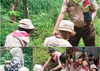 Bermain Kreatif di TK Pertiwi 1 Sawahlunto untuk Anak Berwawasan Lingkungan
