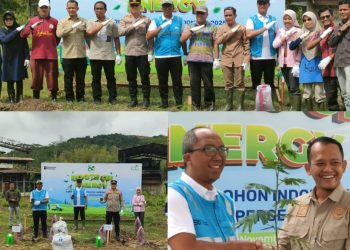 Tanam 3.800 Pohon Kaliandra di Sawahlunto