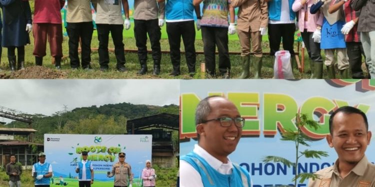 Tanam 3.800 Pohon Kaliandra di Sawahlunto