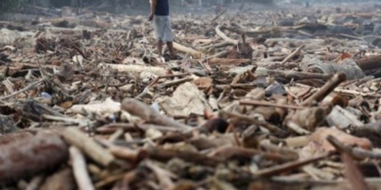 Sumatera Barat Terancam Bencana: Pentingnya Tindakan Institusi untuk Selamatkan Hutan dan Negeri
