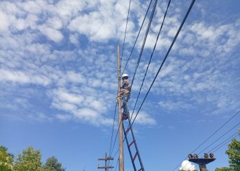 Pemeliharaan Preventif Jaringan PLN Tingkatkan Konektivitas Digital di Limau Manis Selatan