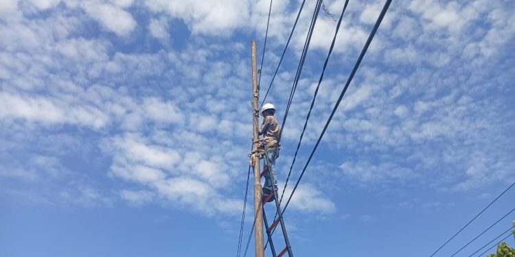 Pemeliharaan Preventif Jaringan PLN Tingkatkan Konektivitas Digital di Limau Manis Selatan