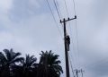 Dukung Stabilitas Layanan Digital, Pemeliharaan Jaringan Fiber Optik di Bengkalis