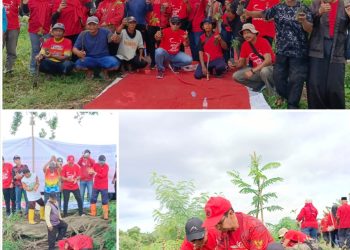 Harlah Ke-53, DPC PDI Perjuangan Jember Adakan Penanaman Pohon dan Penyebaran Benih Ikan