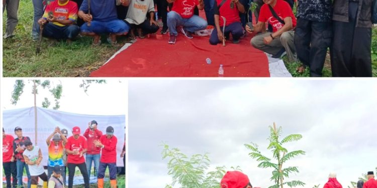 Harlah Ke-53, DPC PDI Perjuangan Jember Adakan Penanaman Pohon dan Penyebaran Benih Ikan
