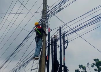 Tingkatkan Kualitas Jaringan Telekomunikasi Melalui Pemeliharaan Jalur Fiber Optik Pekanbaru