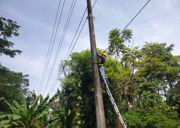 Optimalisasi Layanan Telekomunikasi melalui Pemeliharaan Jaringan Fiber Optic di Kota Padang