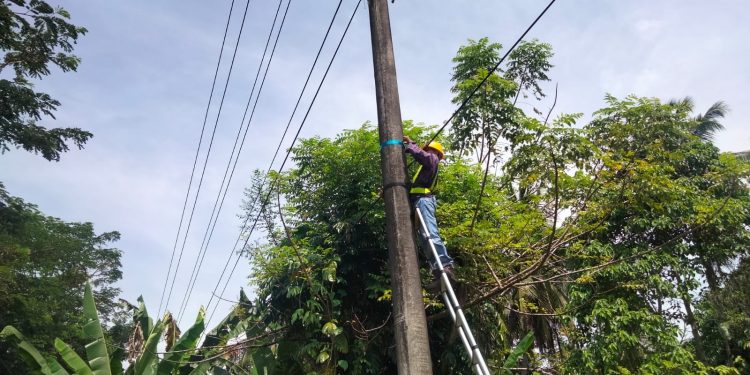 Optimalisasi Layanan Telekomunikasi melalui Pemeliharaan Jaringan Fiber Optic di Kota Padang