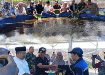 Lele Bioflok Ditebar, Peluncuran Budidaya Tematik KDMP Pokaan Resmi