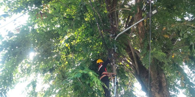 Dukung Layanan Telekomunikasi Stabil, Pemeliharaan Jaringan Fiber Optik di Padang
